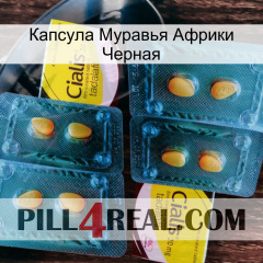 Капсула Муравья Африки Черная cialis5